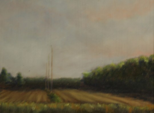 Dawn at Cannon's Ferry, NC