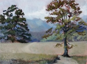 The bottom half on an oil painting.  This is wet oil paint on paper treated with natural gesso, photographed in the shade.