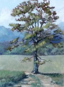 Oak at The Coggins Farm